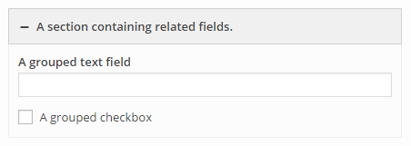 Widget Form Section