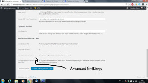 Autoptimize - advanced settings