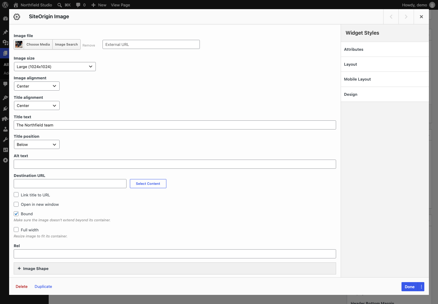 The Image widget form