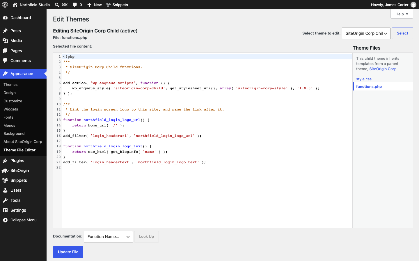 The Theme File Editor with a snippet added to the end of a child theme's functions.php