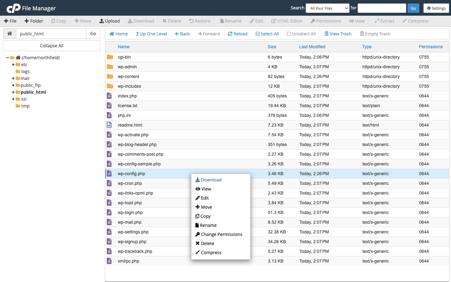 The right-click menu on wp-config.php in cPanel File Manager, with Download and Edit