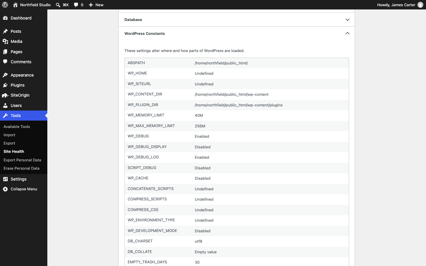 The WordPress Constants section of Site Health with debug mode enabled and display turned off
