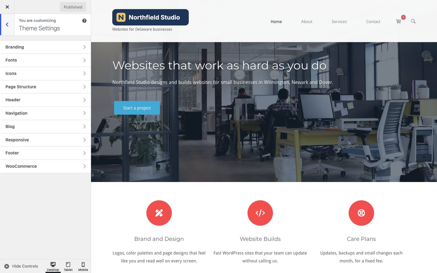 The Theme Settings panel listing Branding, Fonts, Icons, Page Structure, Header, Navigation, Blog, Responsive, Footer and WooCommerce