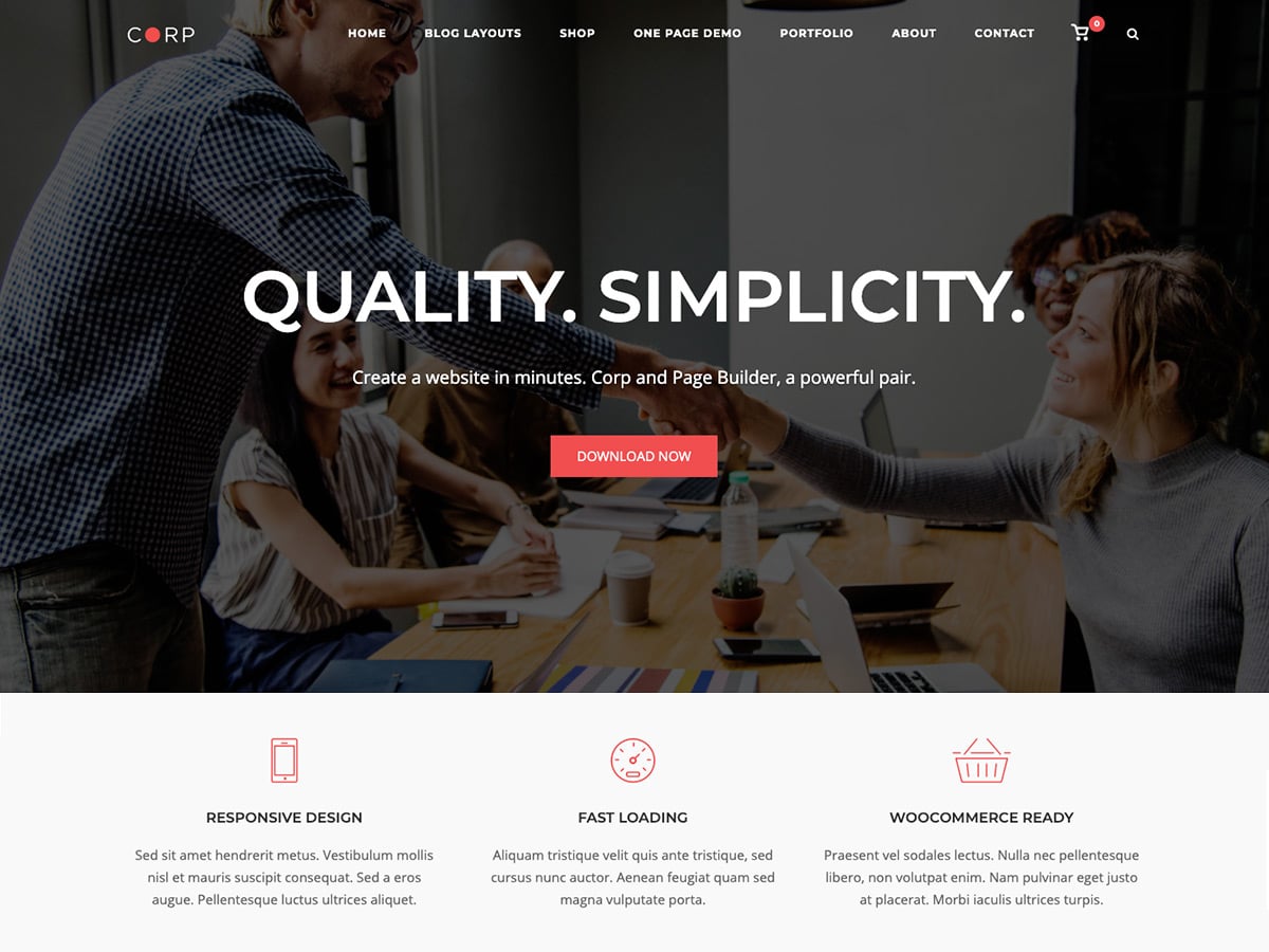 SiteOrigin Corp theme home page