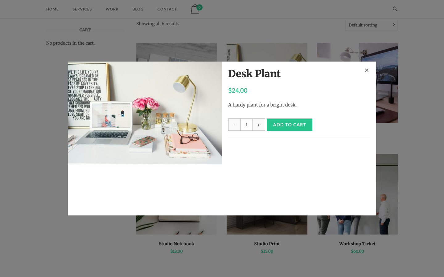 The Quick View window for a product over the shop page